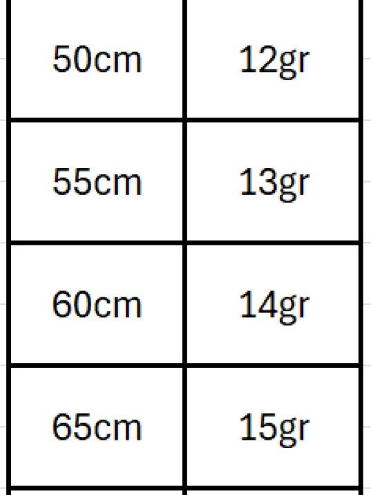2.5mm Tilki Kuyruğu Gümüş Erkek Kolye Zincir Kalın Model