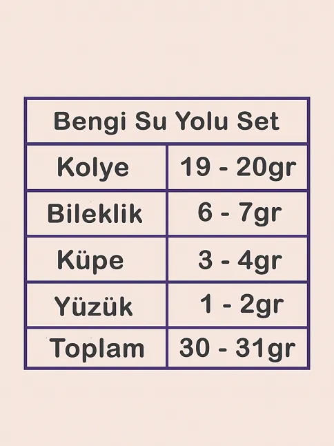 Bengi Bayan Zirkon Taşlı Gümüş Su Yolu Set - Kolye, Bileklik, Küpe, Yüzük