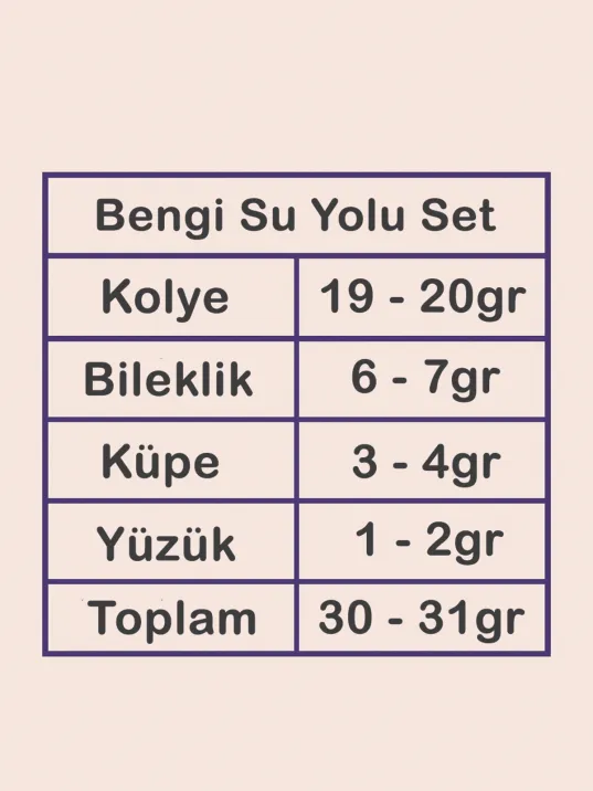 Bengi Bayan Zirkon Taşlı Gümüş Su Yolu Set - Kolye, Bileklik, Küpe, Yüzük Bengi Bayan Zirkon Taşlı Gümüş Su Yolu Set - Kolye, Bileklik, Küpe, Yüzük