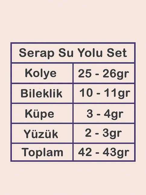 Kadın Gümüş Takı Seti - Serap Yuvarlak Model Zirkon Taşlı Kolye, Bileklik, Yüzük, Küpe Tam Set
