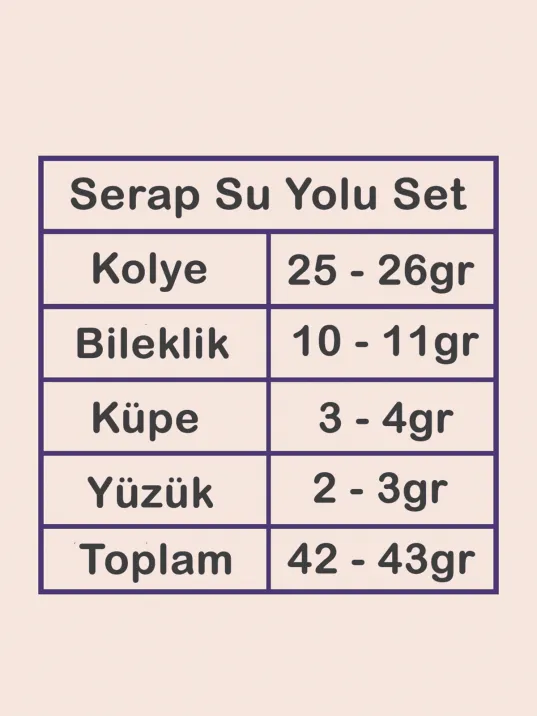Kadın Gümüş Takı Seti - Serap Yuvarlak Model Zirkon Taşlı Kolye, Bileklik, Yüzük, Küpe Tam Set Kadın Gümüş Takı Seti - Serap Yuvarlak Model Zirkon Taşlı Kolye, Bileklik, Yüzük, Küpe Tam Set