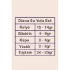 Kadın Gümüş Takı Seti - Diana Baget Taşlı Kare Kolye, Bileklik, Yüzük, Küpe Tam Set Işıklı Kutuda