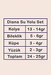 Kadın Gümüş Takı Seti - Diana Baget Taşlı Kare Kolye, Bileklik, Yüzük, Küpe Tam Set Işıklı Kutuda