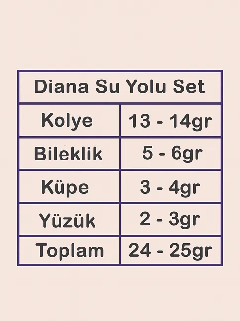 Kadın Gümüş Takı Seti - Diana Baget Taşlı Kare Kolye, Bileklik, Yüzük, Küpe Tam Set Işıklı Kutuda