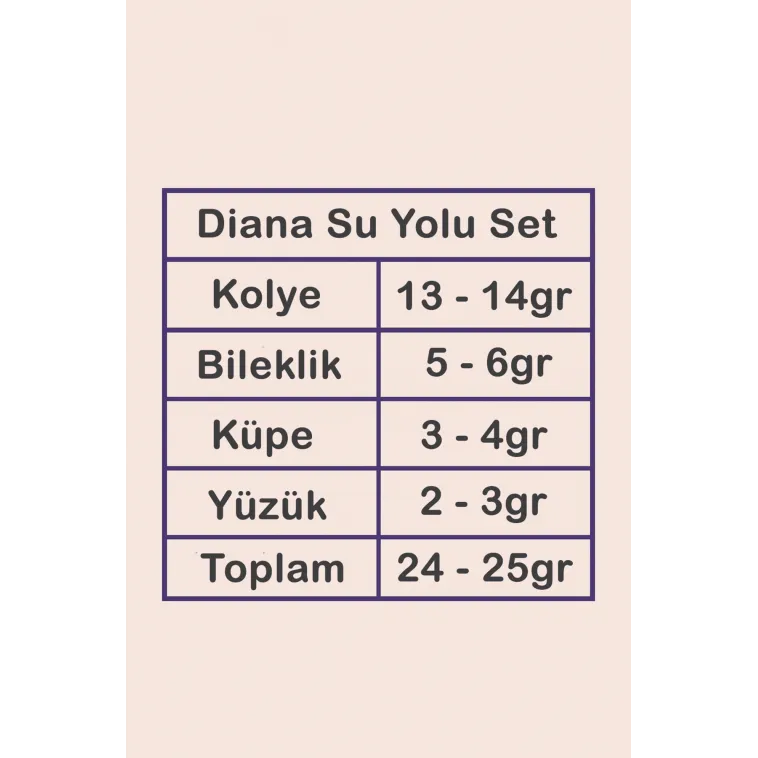 Kadın Gümüş Takı Seti - Diana Baget Taşlı Kare Kolye, Bileklik, Yüzük, Küpe Tam Set Işıklı Kutuda