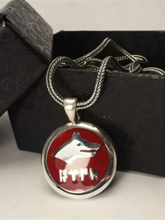 Göktürkçe Türk Yazılı Kırmızı Mineli Bozkurt Gümüş Erkek Kolye Zincir