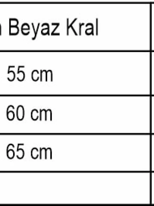 Erkek Gümüş Kolye - Kalın Beyaz Kral Erkek Kolye