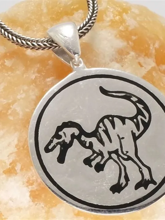 Dinozor Erkek Gümüş Kolye Zincir