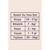 Kadın Gümüş Takı Seti - Sedef Zirkon Taşlı Kolye, Bileklik, Yüzük, Küpe Tam Set Kadın Gümüş Takı Seti - Sedef Zirkon Taşlı Kolye, Bileklik, Yüzük, Küpe Tam Set