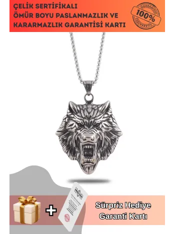 Aslan Başlı Erkek Çelik Zincir Kolye CKLASLNKAFA-GMS