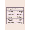 Kleopatra Su Yolu Gümüş Bayan Set - Kolye, Bileklik, Küpe, Yüzük