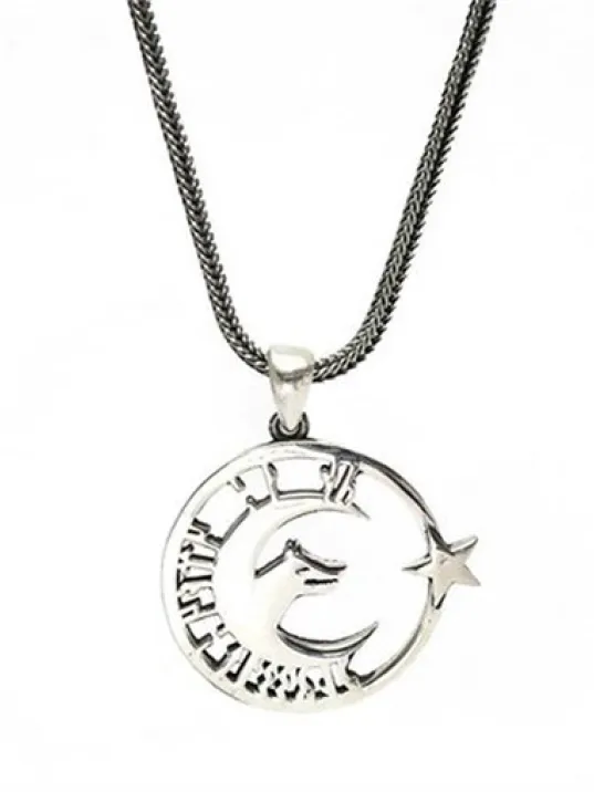 Göktürkçe Tanrı Türkü Korusun Ay Yıldız Bozkurt Erkek Gümüş Kolye