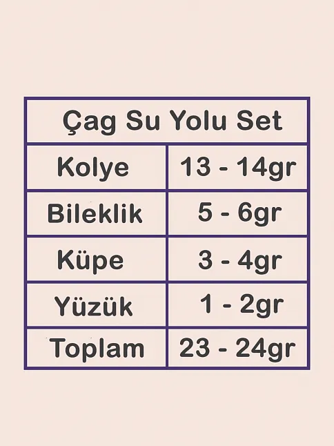 Çağ Bayan Zirkon Taşlı Gümüş Su Yolu Set - Kolye, Bileklik, Küpe, Yüzük