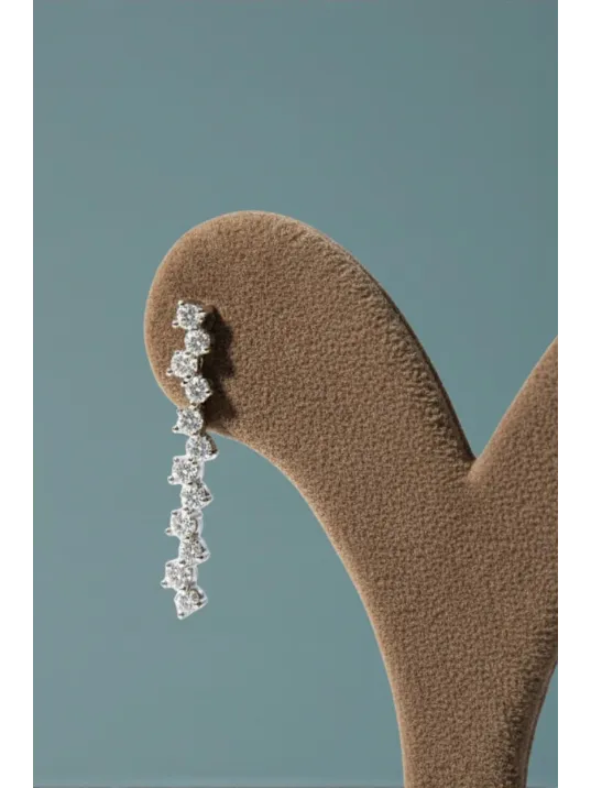 Alin Model Gümüş Su Yolu Kadın Küpe