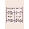 Kadın Gümüş Takı Seti - Süreyya Baget Taşlı Kare Model Kolye, Bileklik, Yüzük, Küpe Tam Set Kadın Gümüş Takı Seti - Süreyya Baget Taşlı Kare Model Kolye, Bileklik, Yüzük, Küpe Tam Set