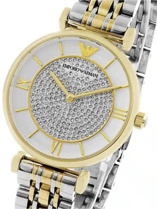 Emporio Armani AR2076 Kadın Kol Saati
