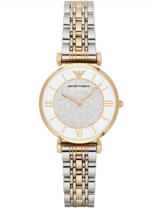 Emporio Armani AR2076 Kadın Kol Saati