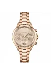 Boss Watches HB1502592 Kadın Kol Saati