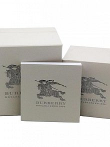 Burberry BU9219 Kadın Kol Saati