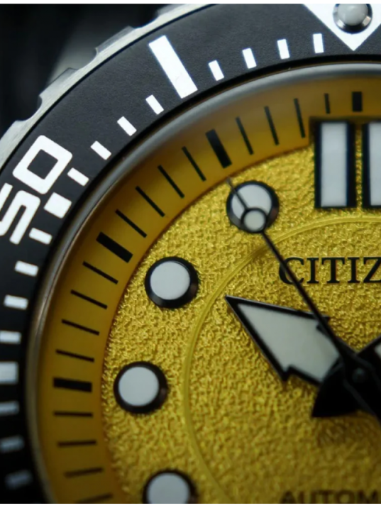 Citizen NJ0171-83Z Erkek Kol Saati