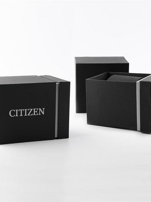 Citizen NJ0178-81M Erkek Kol Saati
