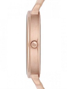 Emporio Armani AR11006 Kadın Kol Saati