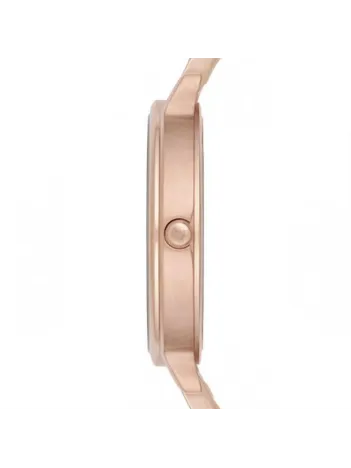 Emporio Armani AR11006 Kadın Kol Saati Emporio Armani AR11006 Kadın Kol Saati