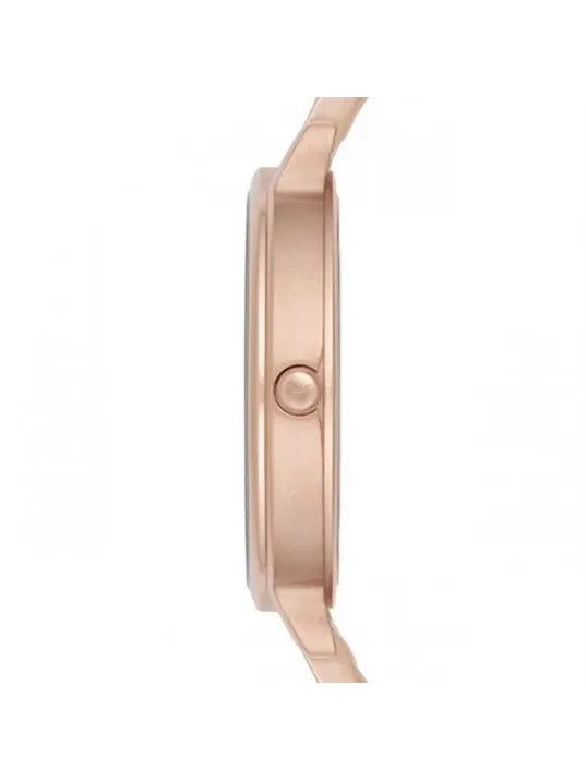 Emporio Armani AR11006 Kadın Kol Saati Emporio Armani AR11006 Kadın Kol Saati