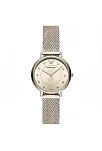 Emporio Armani AR11129 Bayan Kol Saati
