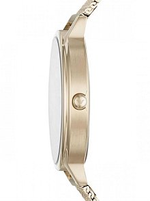 Emporio Armani AR11129 Bayan Kol Saati