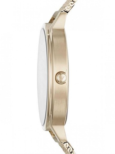 Emporio Armani AR11129 Bayan Kol Saati