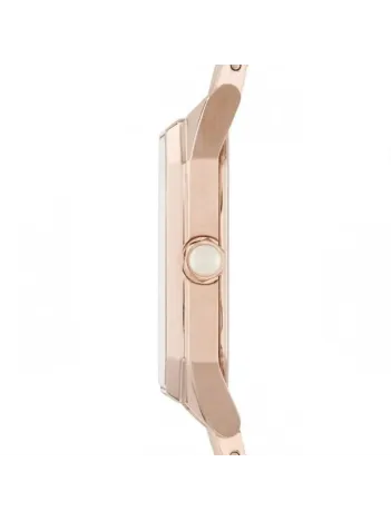 Emporio Armani AR11147 Kadın Kol Saati