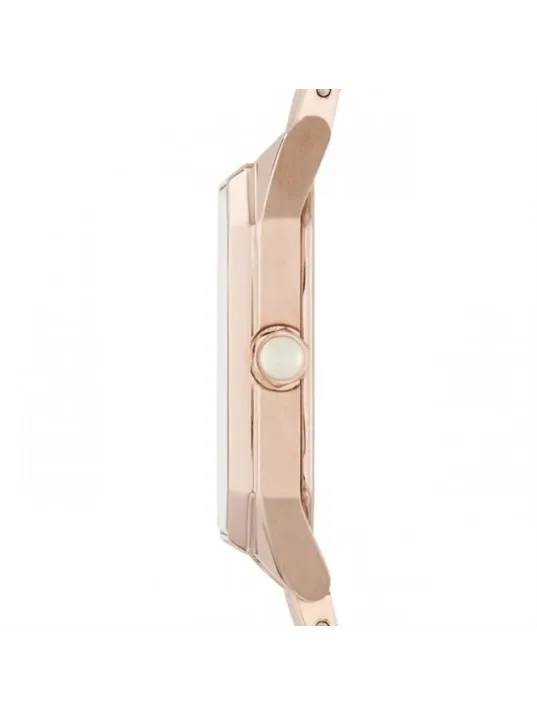 Emporio Armani AR11147 Kadın Kol Saati