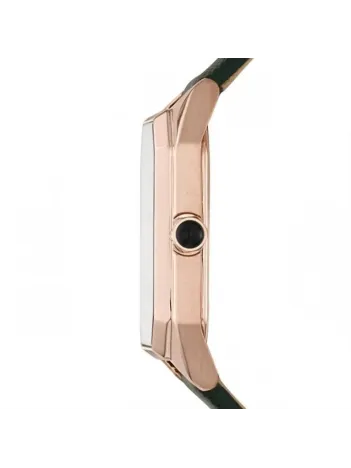 Emporio Armani AR11149 Kadın Kol Saati