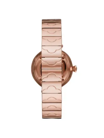 Emporio Armani AR11236 Bayan Kol Saati Emporio Armani AR11236 Bayan Kol Saati