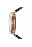 Emporio Armani AR11334 Erkek Kol Saati