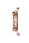 Emporio Armani AR11355 Kadın Kol Saati