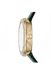 Emporio Armani AR11419 Kadın Kol Saati