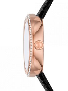 Emporio Armani AR11493 Kadın Kol Saati