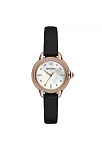 Emporio Armani AR11598 Kadın Kol Saati