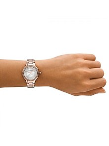 Emporio Armani AR11633 Kadın Kol Saati