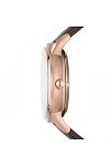 Emporio Armani AR60039 Erkek Kol Saati