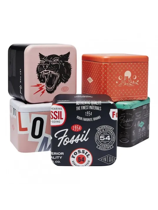 Fossil FBQ2620 Erkek Kol Saati