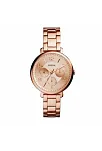 Fossil FES3665 Kadın Kol Saati