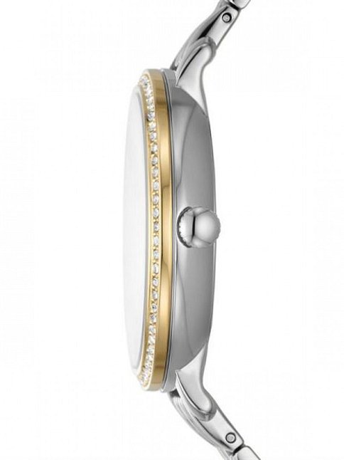 Fossil FES5166 Kadın Kol Saati
