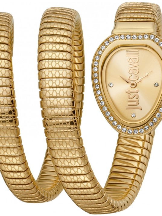 Just Cavalli JC1L163M0025 Kadın Kol Saati