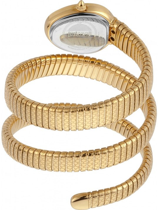 Just Cavalli JC1L163M0025 Kadın Kol Saati
