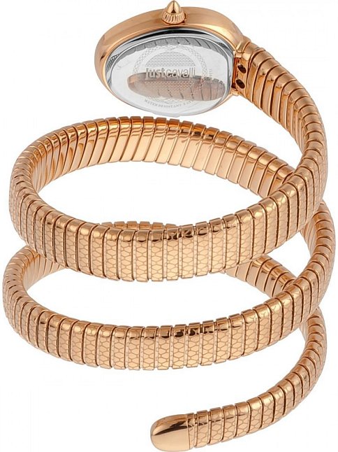 Just Cavalli JC1L163M0035 Kadın Kol Saati