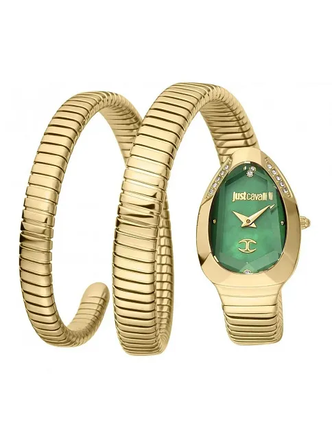 Just Cavalli JC1L209M0045 Kadın Kol Saati