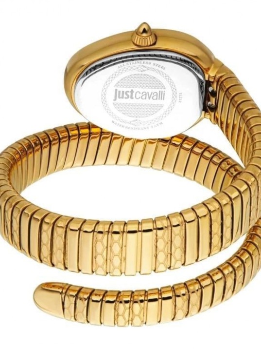 Just Cavalli JC1L222M0035 Kadın Kol Saati